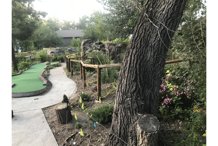 Crystal Cave & Falls Adventure Mini Golf (From Dixie)