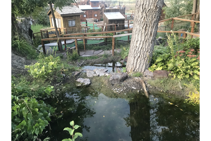 Crystal Cave & Falls Adventure Mini Golf (From Dixie)