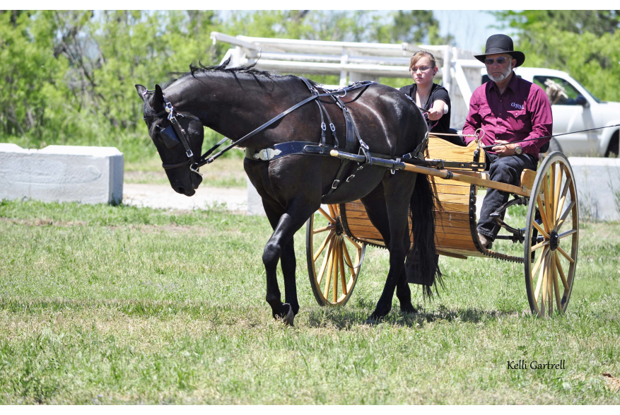 Heritage Festival