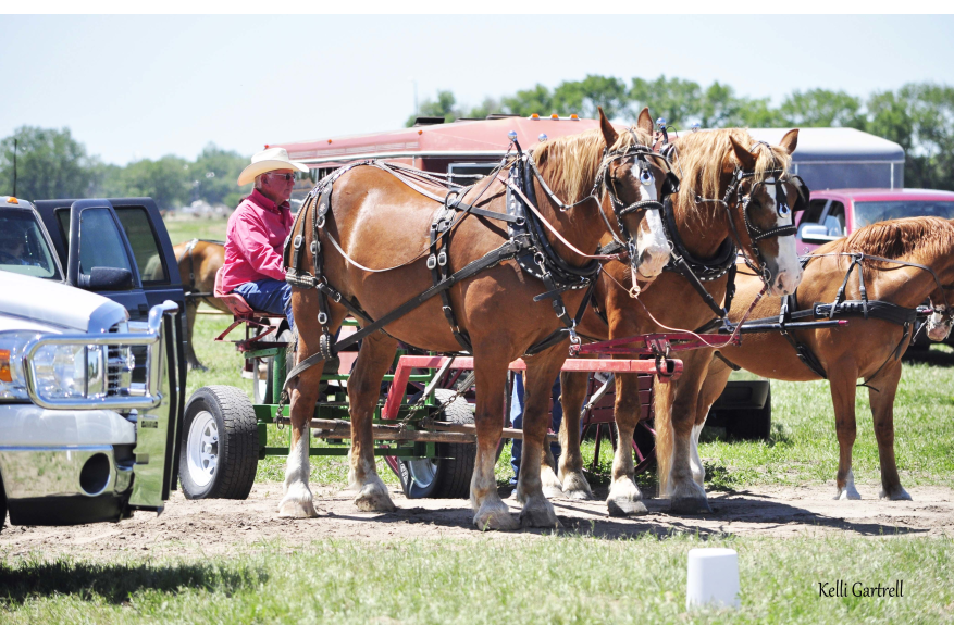 Heritage Festival