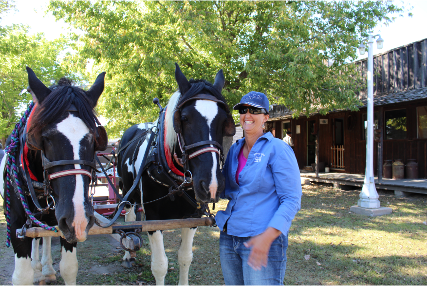 Horse-Drawn Wagon Ride