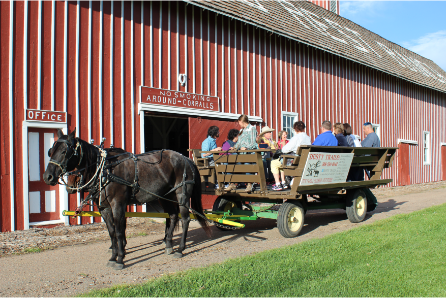 Horse-Drawn Wagon Ride