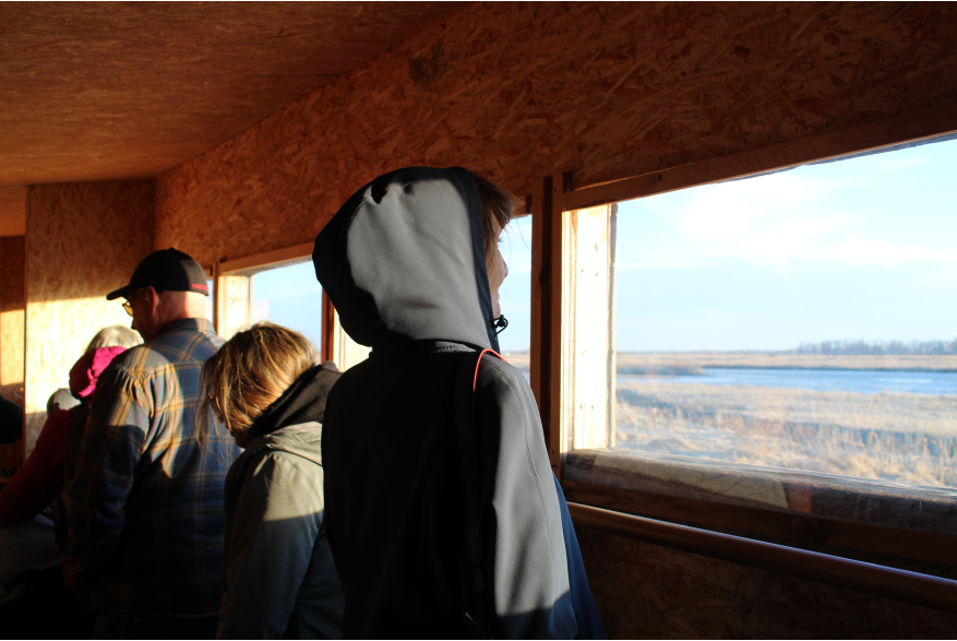 Sandhill Crane Blind Tour with Dusty Trails