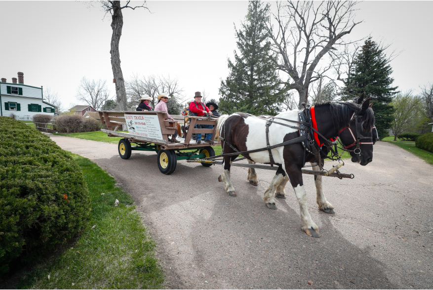 Horse-Drawn Wagon Ride