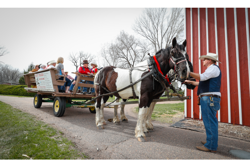 Horse-Drawn Wagon Ride
