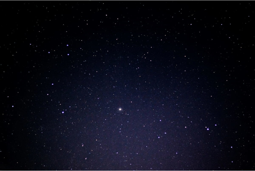 Wine with the Stars