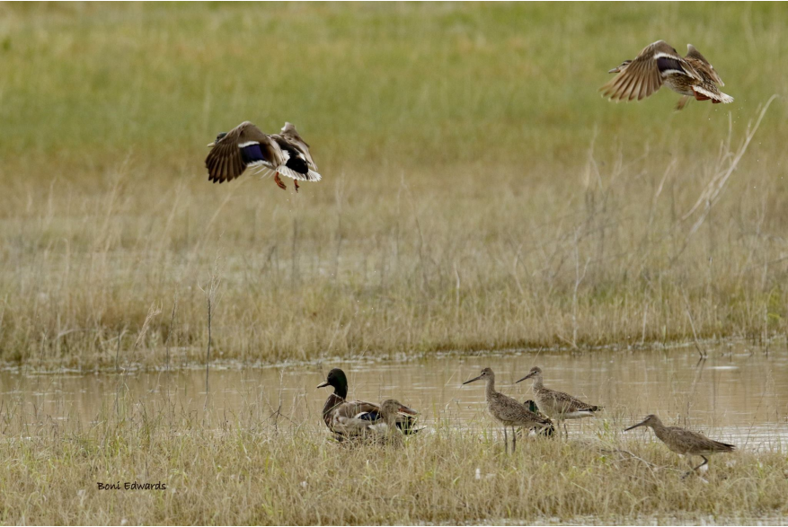 Willets Challenging Sandhills Scenic Drive