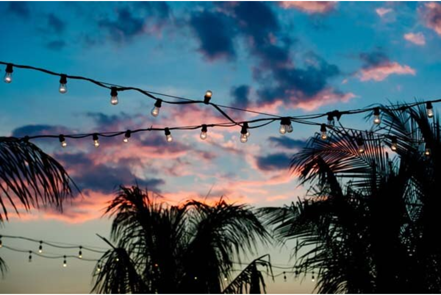 Nightlife_lights-in-palmtrees