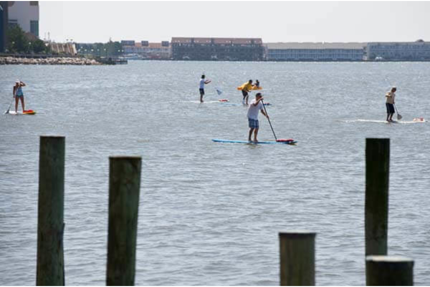 SurfingPaddleboarding_5