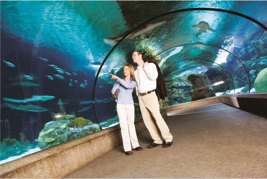 Omaha's Henry Doorly Zoo - Scott Aquarium