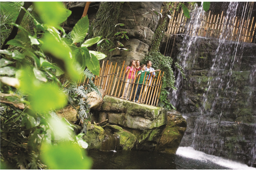 Omaha's Henry Doorly Zoo - Lied Jungle