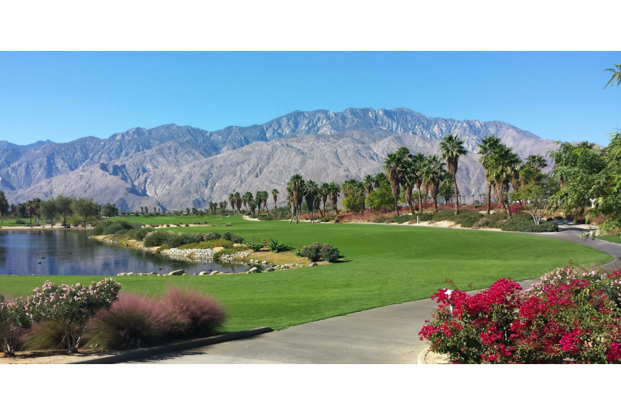 escena golf