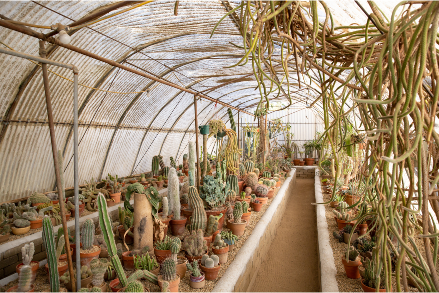 Moorton Botanical Garden Interior