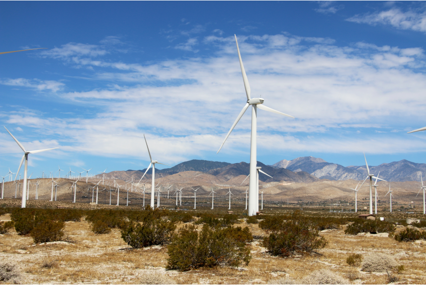 Windmill Tour