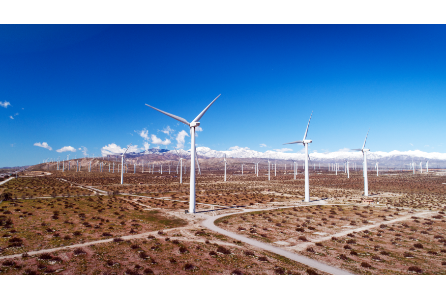 Windmill Tour
