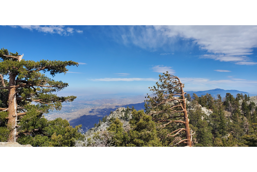 San Jacinto Mountains