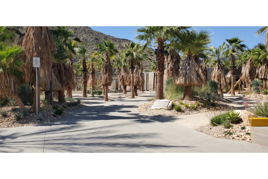 Downtown Park Paths