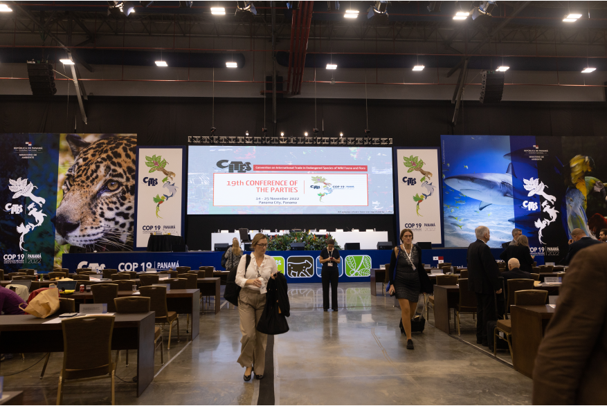 Panama Convention Center, a modern and spacious building with large windows and a sleek design.  It is located on the Amador Causeway, offering stunning views of the Pacific Ocean and the Bridge of the Americas.