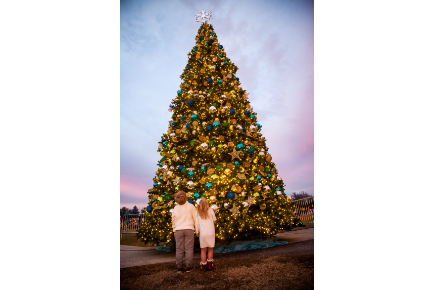 Two kids standing in front of a Christmas tree at Aaron Bessant Park.