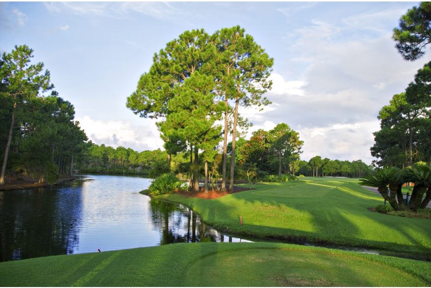 Hombre Golf Course Panama City Beach Florida