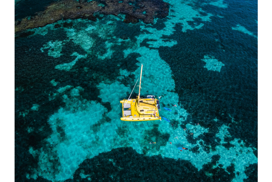 Yellow charter 1 yatch on reef system