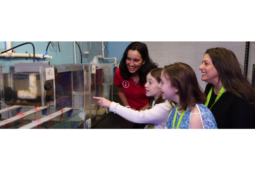 AQWA Behind the Scenes 2