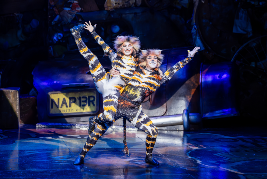 CATS The Musical