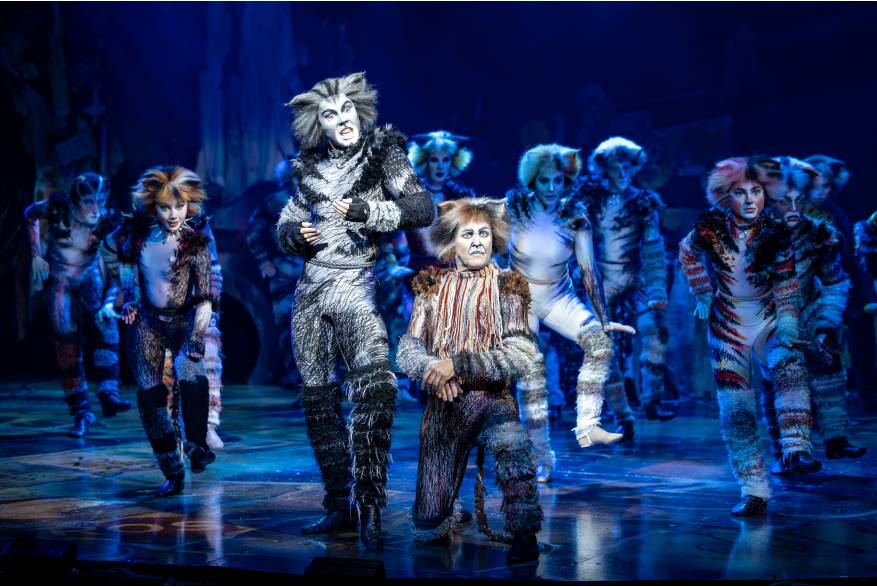 CATS The Musical