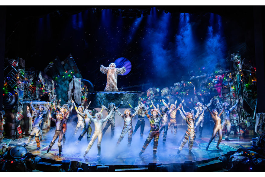 CATS The Musical