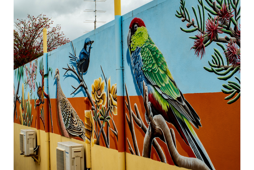 Public street mural in Waroona featuring native birds and flora