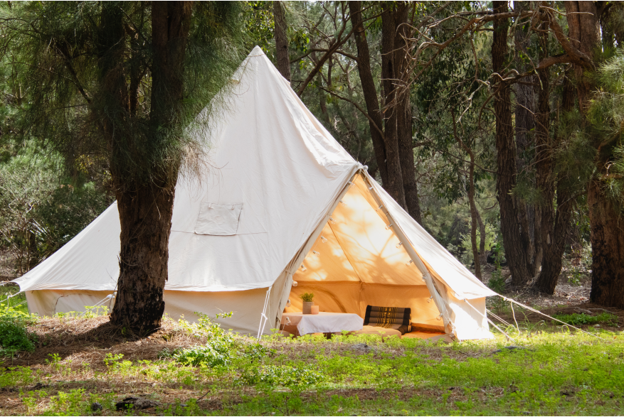 Wilderstay Glamping
