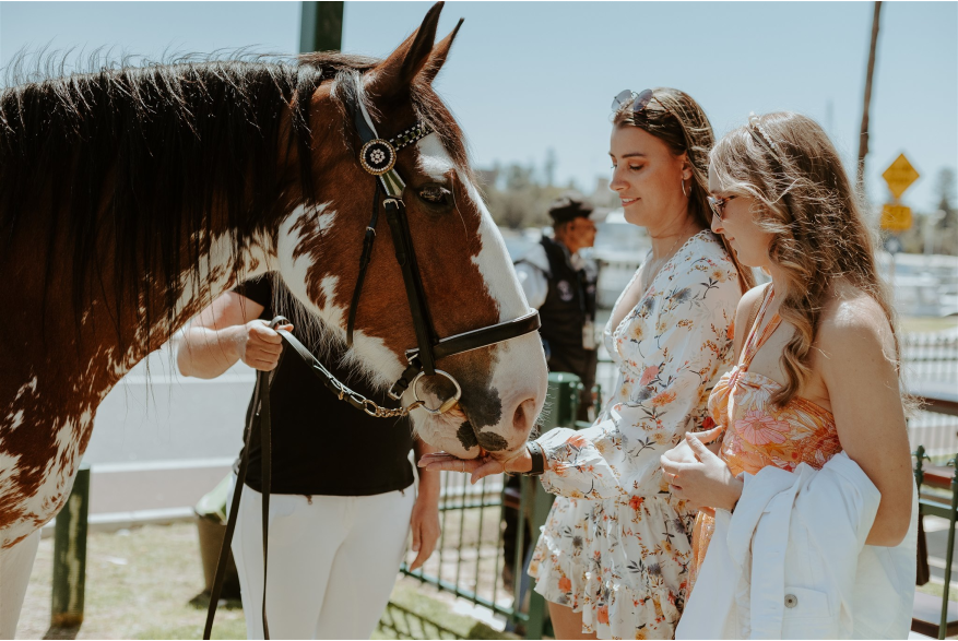 Left Bank Melbourne Cup