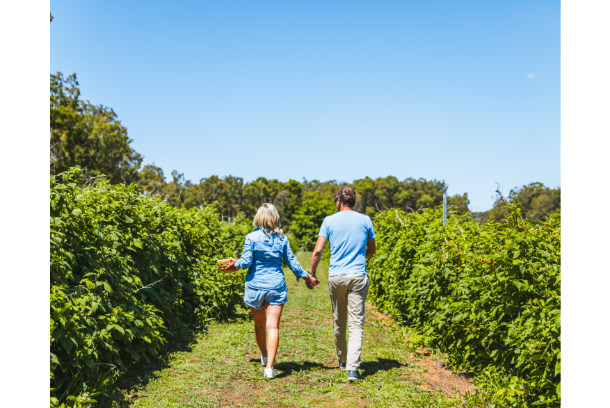 Walking through orchard, Dwellingup