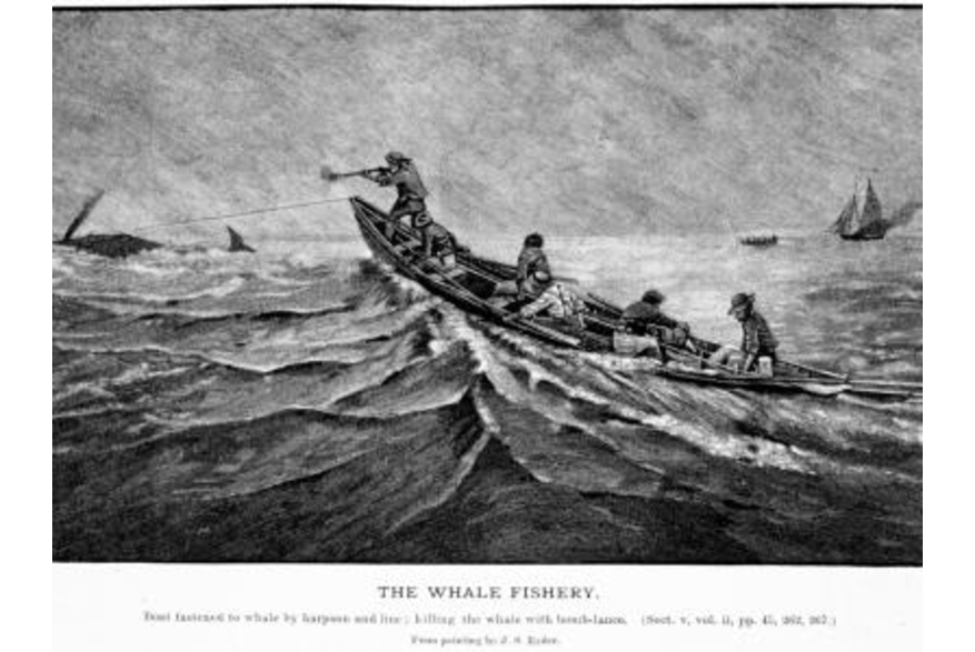early whaling