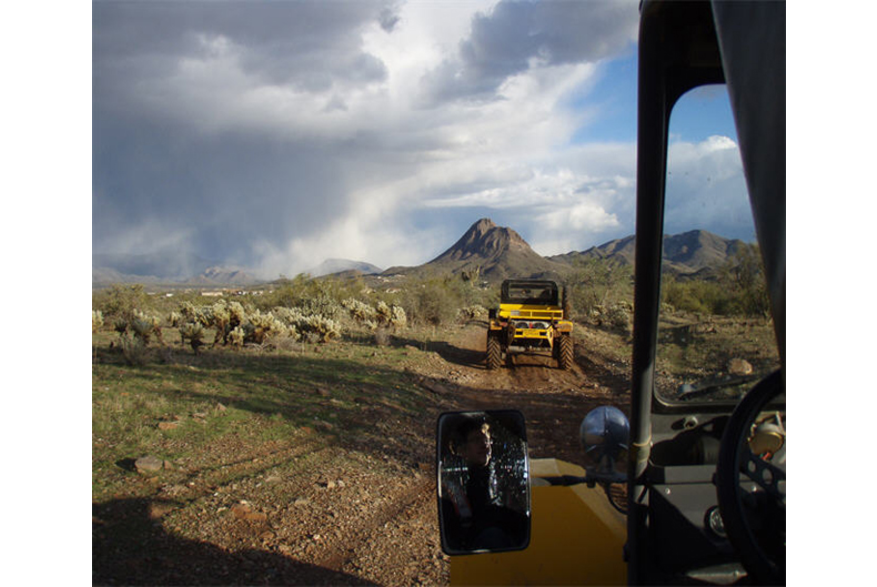 Desert Wolf Tours