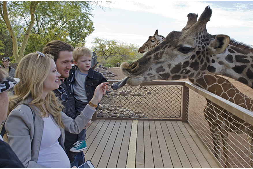 Phoenix Zoo