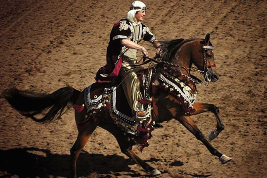 Scottsdale Arabian Horse Show