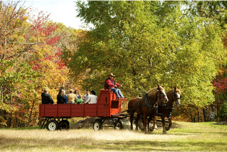 Fall Pocono Horse-Drawn Hayride