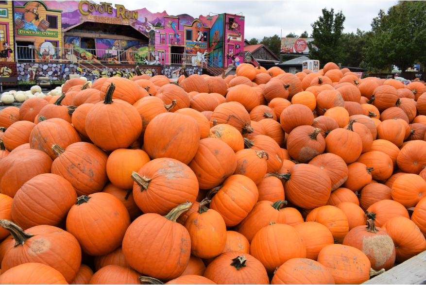 Attend A Fall Festival in the Poconos