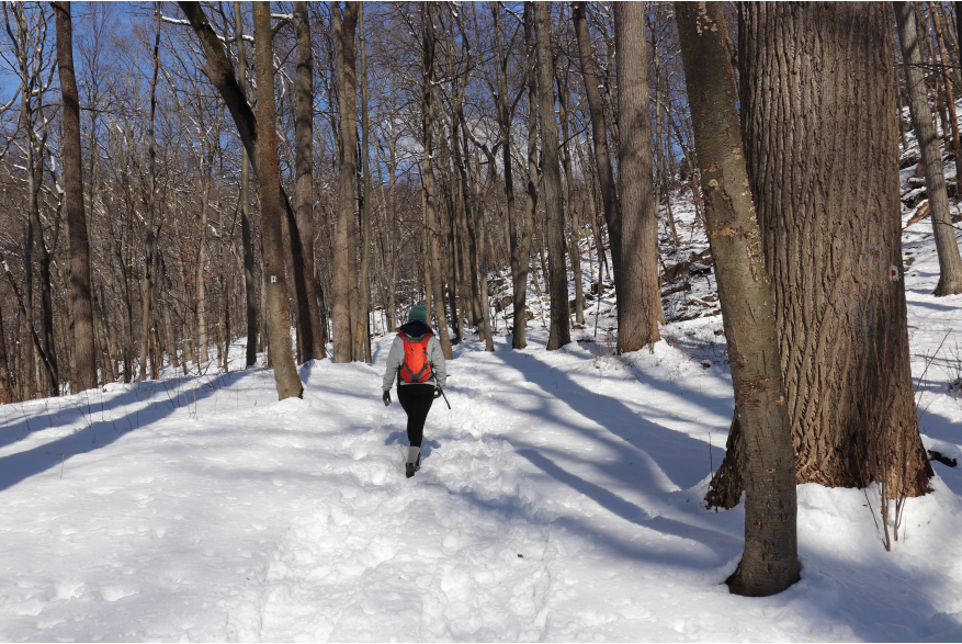 Winter Hiking in the Pocono Mountains