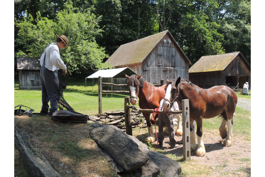 Harnessing the Horses for a Wagon Ride at Quiet Valley