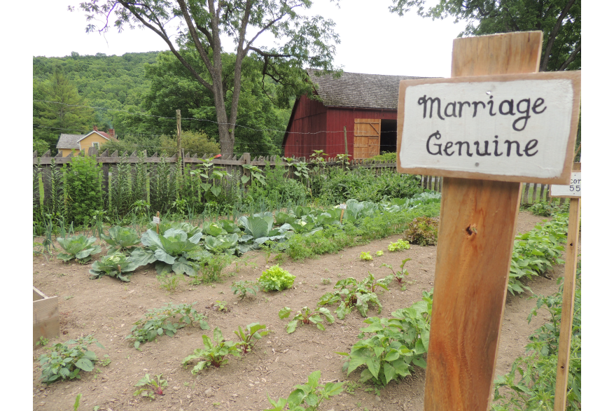 Garden Fresh in the Pocono Mountains