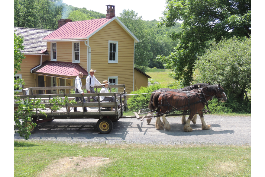 Horse-Drawn Wagon Ride past the Farmhouse at Quiet Valley