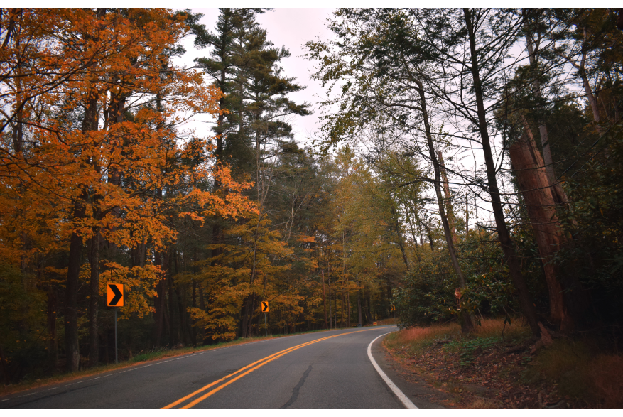 Take a Scenic Drive and Explore the Fall Foliage in the Pocono Mountains