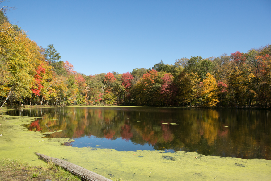 Fall Foliage in the Pocono Mountains