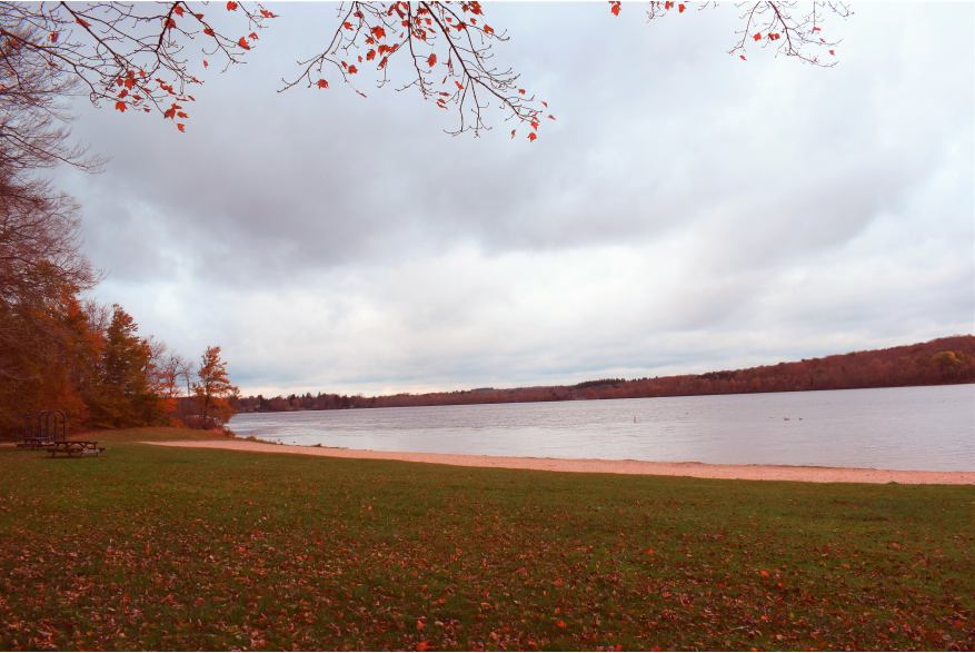 View the fall Pocono foliage