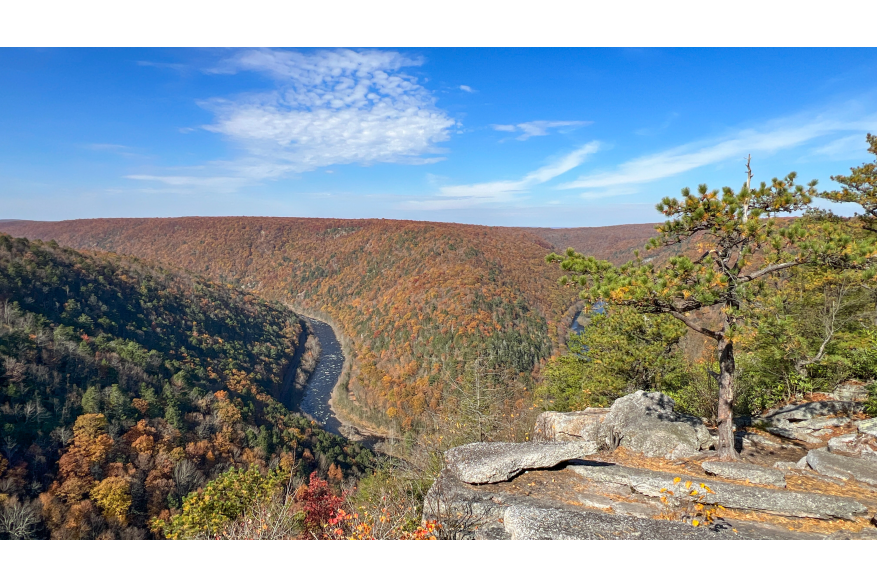 Fall foliage view from Tank Hollow in Lehigh Gorge State Park in the Poconos