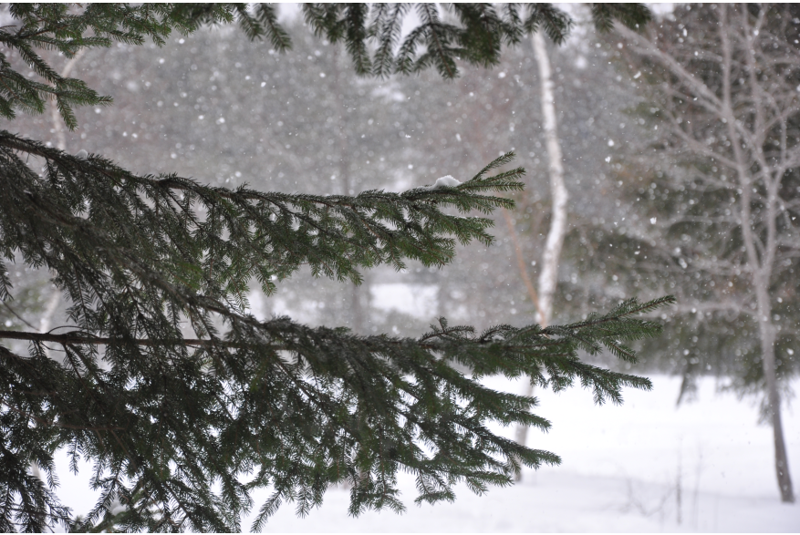 Winter in the Pocono Mountians
