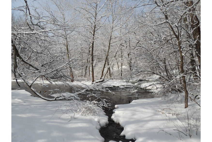 Winter Scenery in the Poconos