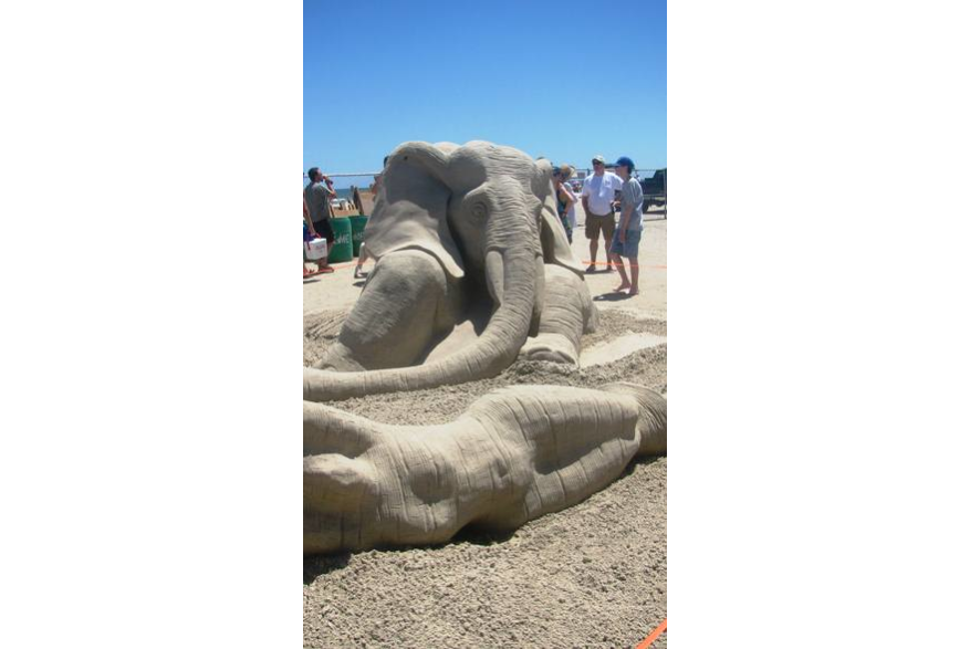 Elephant